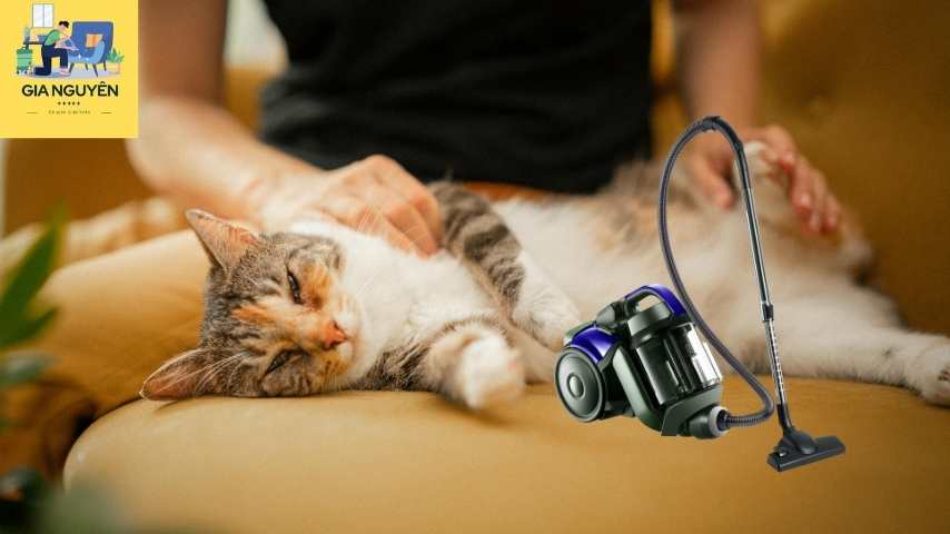 Máy hút bụi chuyên dụng
